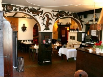 Foto: Goldener Hecht