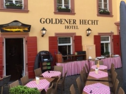 Foto: Goldener Hecht